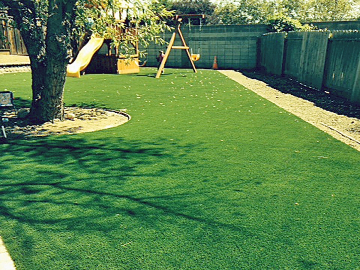 Artificial Grass Haivana Nakya, Arizona City Landscape, Backyard Ideas