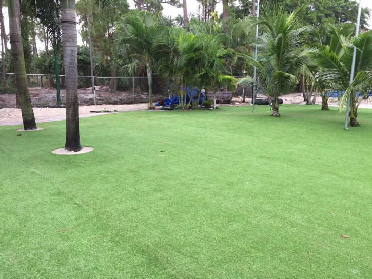 Artificial Grass Installation Littletown, Arizona Landscape Ideas, Commercial Landscape