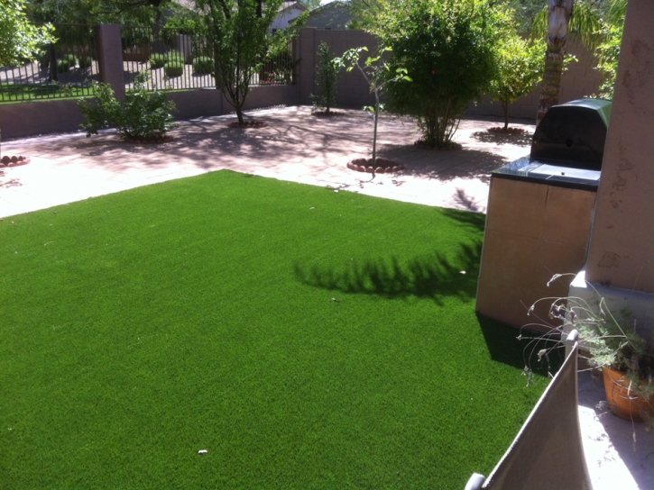 Artificial Grass Installation Prescott Valley, Arizona Dog Hospital, Dog Kennels