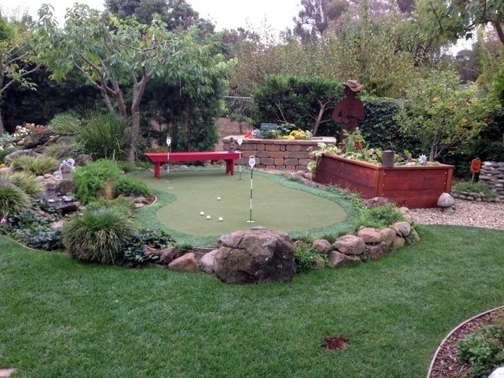 Artificial Turf Cornville, Arizona Gardeners, Backyard Landscape Ideas