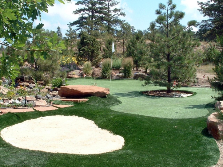 Artificial Turf Cost Morenci, Arizona Putting Green, Backyard