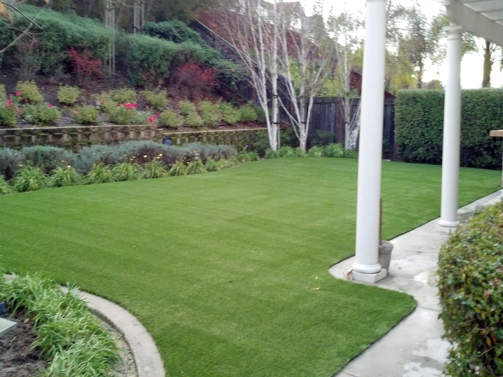 Artificial Turf Cost Summit, Arizona Pictures Of Dogs, Backyard