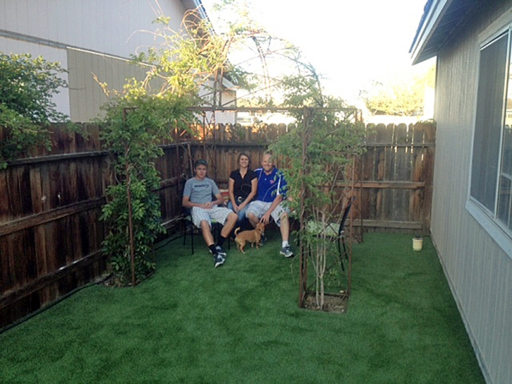 Artificial Turf Cost Vail, Arizona Dog Running, Backyard Makeover