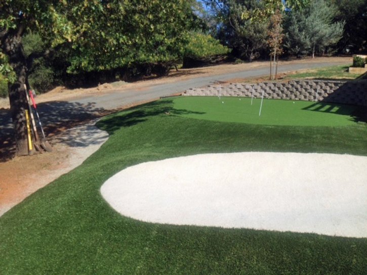 Artificial Turf Eloy, Arizona Best Indoor Putting Green, Front Yard