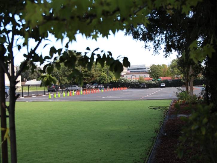 Artificial Turf Installation Heber-Overgaard, Arizona Eco Friendly Products, Commercial Landscape