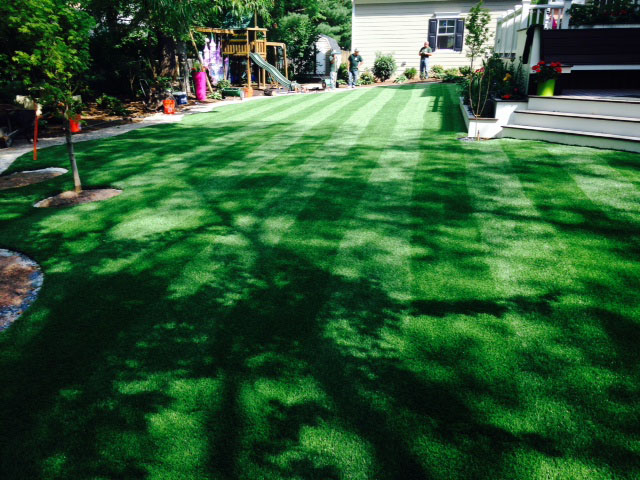 Artificial Turf Installation Summerhaven, Arizona City Landscape, Backyard Garden Ideas