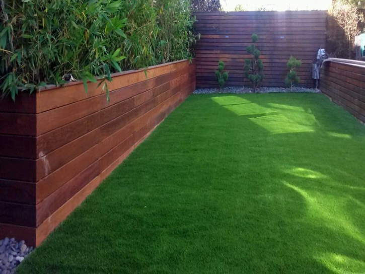 Artificial Turf Installation Wilhoit, Arizona Lawns, Backyard