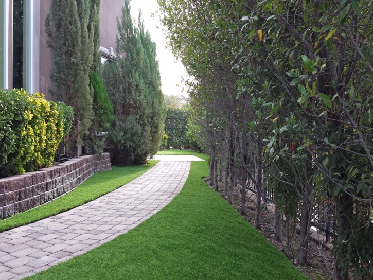 Artificial Turf Installation Winslow West, Arizona Lawn And Garden, Front Yard