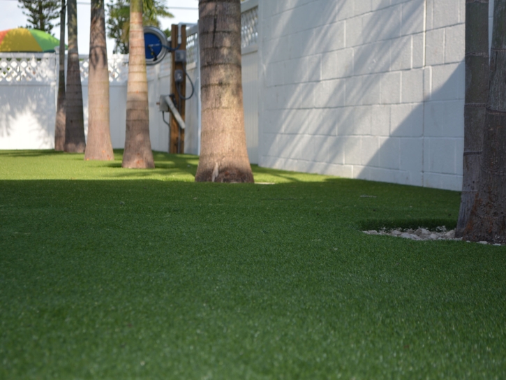 Artificial Turf Munds Park, Arizona Lawn And Landscape, Commercial Landscape