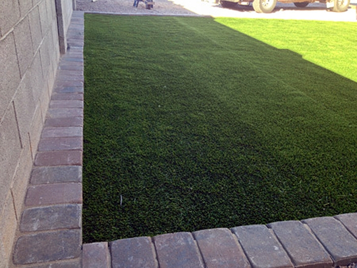 Artificial Turf Tonto Basin, Arizona Dog Park, Small Front Yard Landscaping