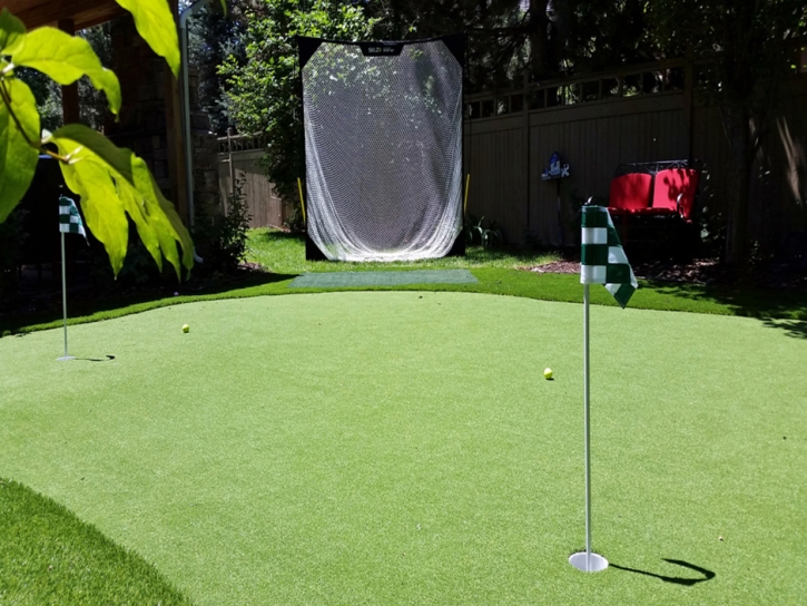 Artificial Turf White Mountain Lake, Arizona Diy Putting Green, Backyard Garden Ideas