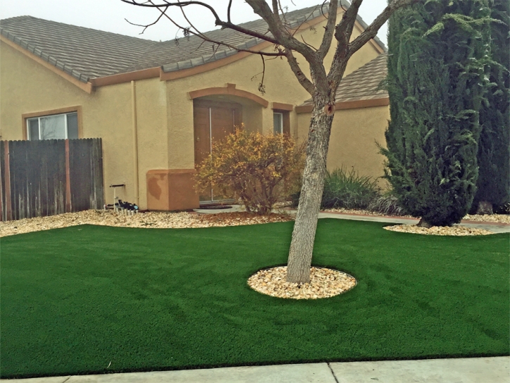Best Artificial Grass Camp Verde, Arizona Landscape Design, Front Yard Design