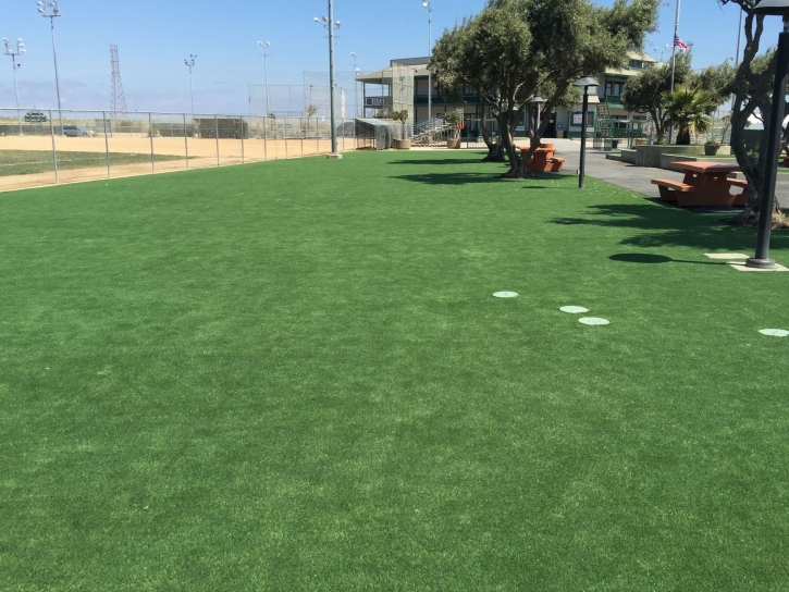 Best Artificial Grass Corona de Tucson, Arizona Landscaping Business, Parks