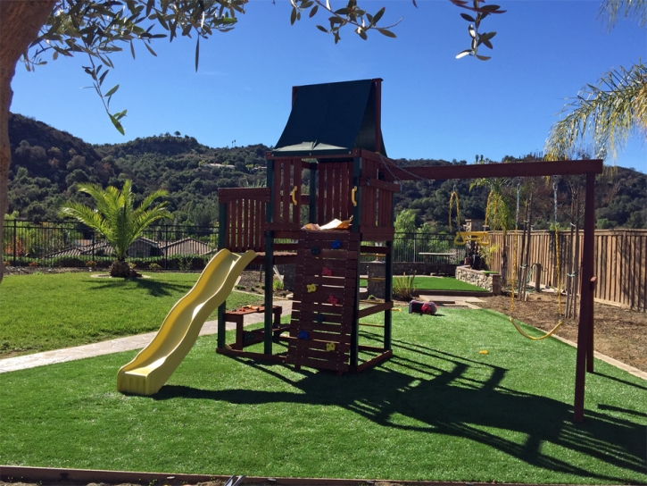 Best Artificial Grass Douglas, Arizona Landscaping