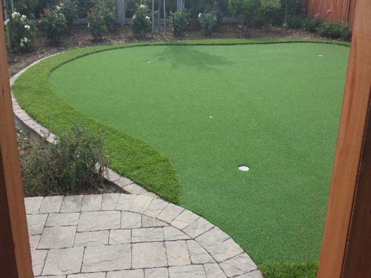 Best Artificial Grass West Sedona, Arizona Landscape Photos, Backyard Designs