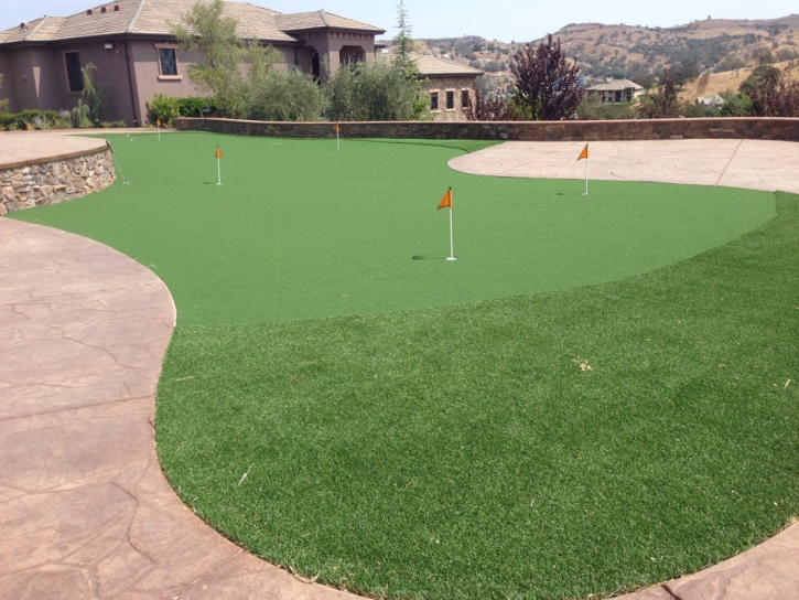 Fake Grass Alpine, Arizona Landscaping