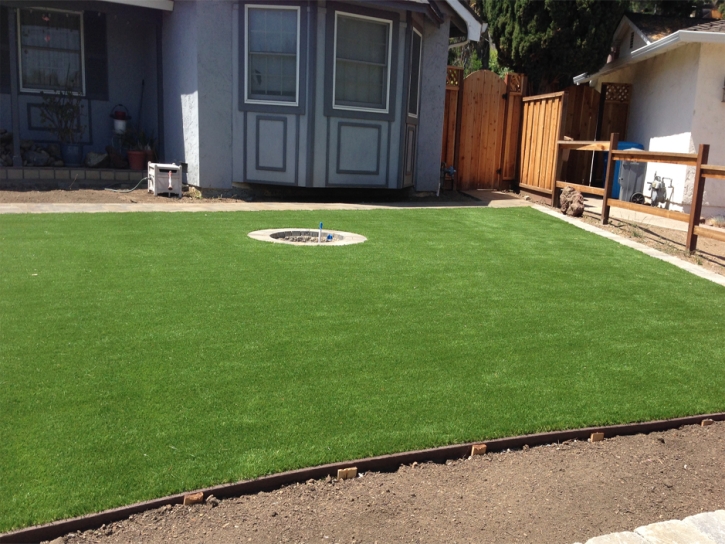 Fake Grass Carpet Vernon, Arizona Rooftop, Backyard Ideas