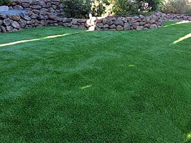 Fake Grass Comobabi, Arizona City Landscape, Small Backyard Ideas
