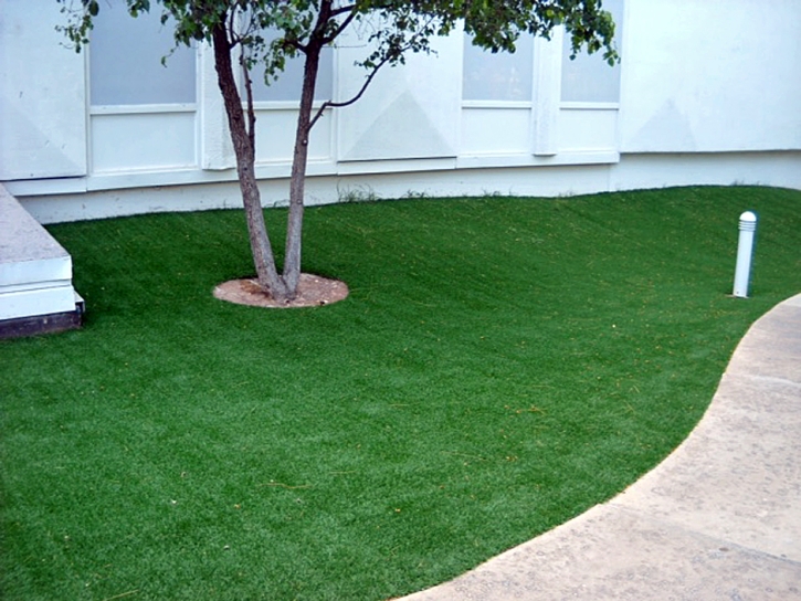 Fake Grass Dewey-Humboldt, Arizona Rooftop, Commercial Landscape