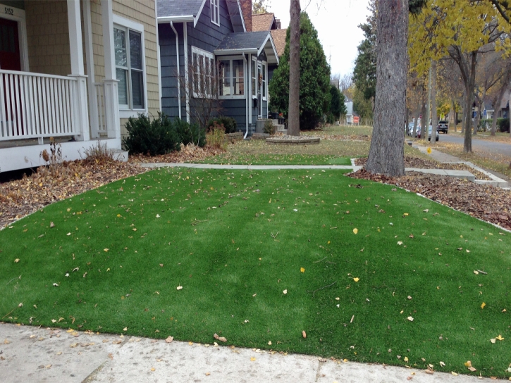 Fake Grass Freedom Acres, Arizona City Landscape, Front Yard Landscaping Ideas