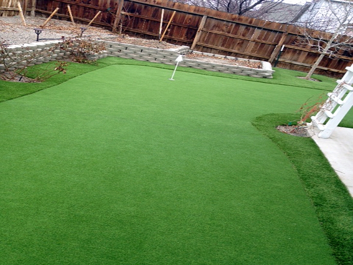 Fake Grass New River, Arizona Roof Top, Backyard Landscaping