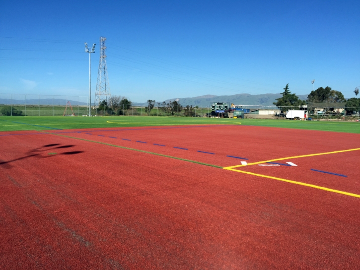 Fake Grass Payson, Arizona Red Turf