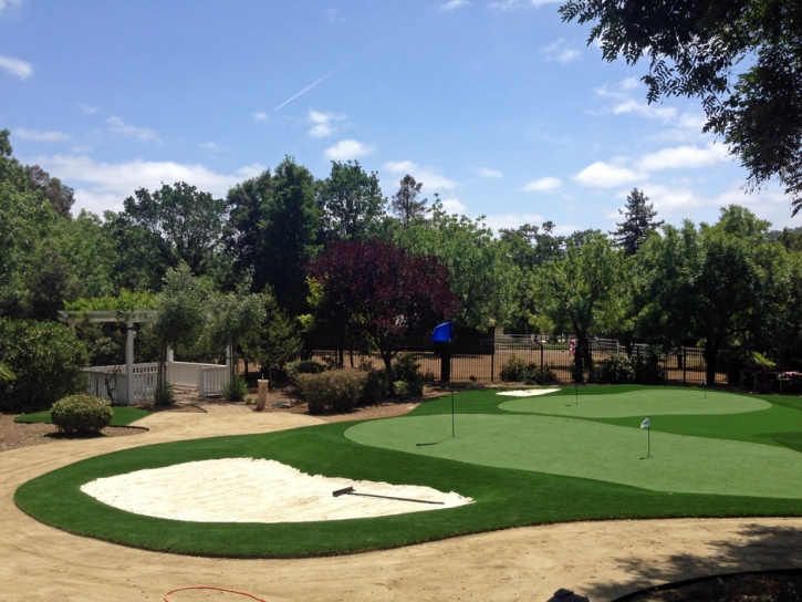 Fake Grass Sunizona, Arizona Artificial Putting Greens, Front Yard