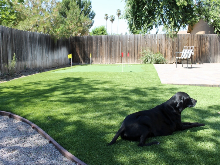 Fake Grass Taylor, Arizona Backyard Putting Green, Small Backyard Ideas