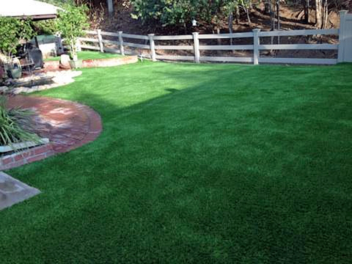 Fake Lawn Florence, Arizona City Landscape, Small Backyard Ideas