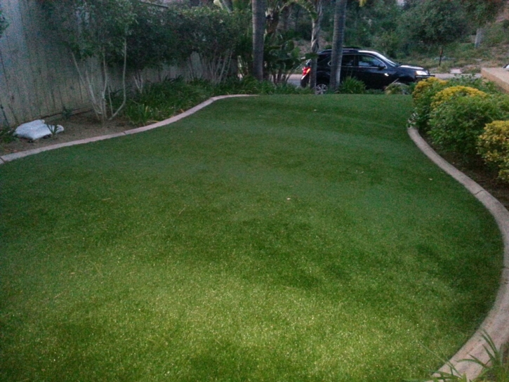 Fake Lawn Oro Valley, Arizona Landscape Photos, Front Yard Landscape Ideas