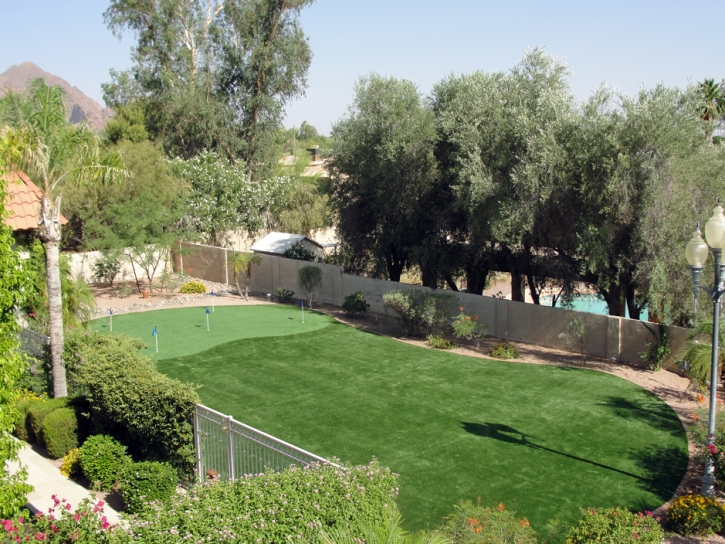 Fake Lawn Pinedale, Arizona Landscape Ideas, Backyard Designs