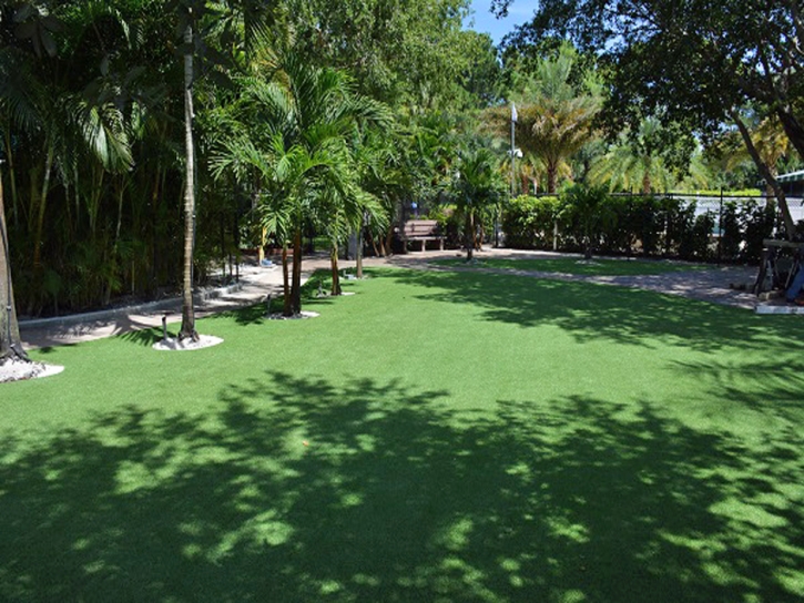 Fake Lawn Tempe Junction, Arizona City Landscape, Commercial Landscape
