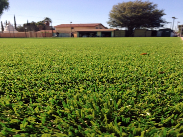 Fake Turf Arizona City, Arizona Landscaping