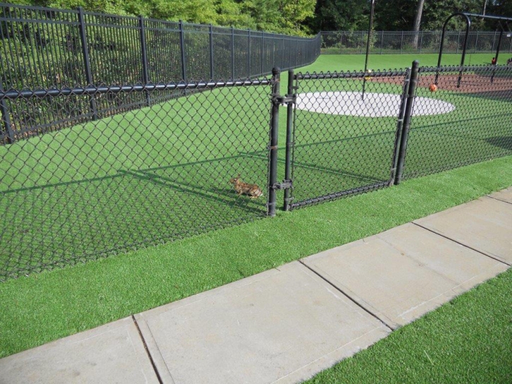 Faux Grass Lake of the Woods, Arizona Landscape Design, Parks