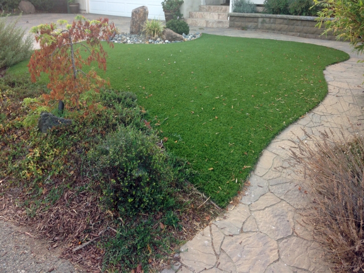 Faux Grass Miracle Valley, Arizona Cat Grass, Backyard Landscape Ideas