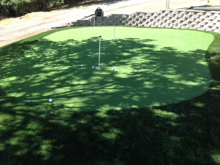 Faux Grass Rio Rico, Arizona Artificial Putting Greens, Backyard Designs