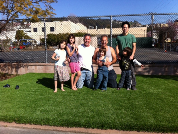Faux Grass Salome, Arizona Landscaping, Commercial Landscape