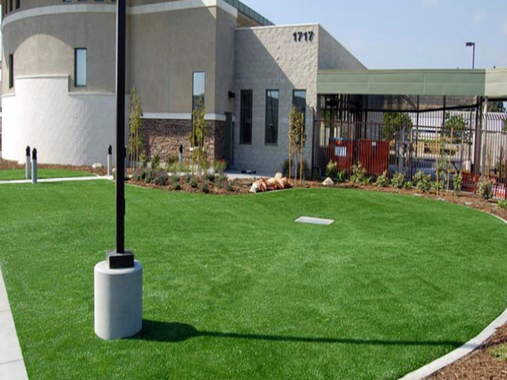 Faux Grass Santan, Arizona Gardeners, Commercial Landscape