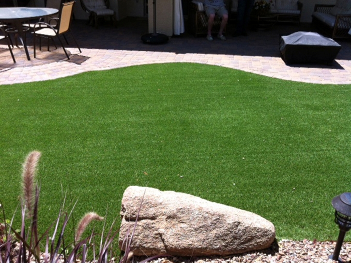 Faux Grass Tonopah, Arizona Cat Grass, Small Backyard Ideas