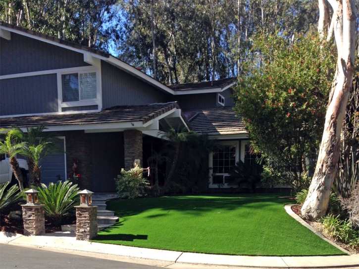 Grass Carpet Charco, Arizona City Landscape, Front Yard Design