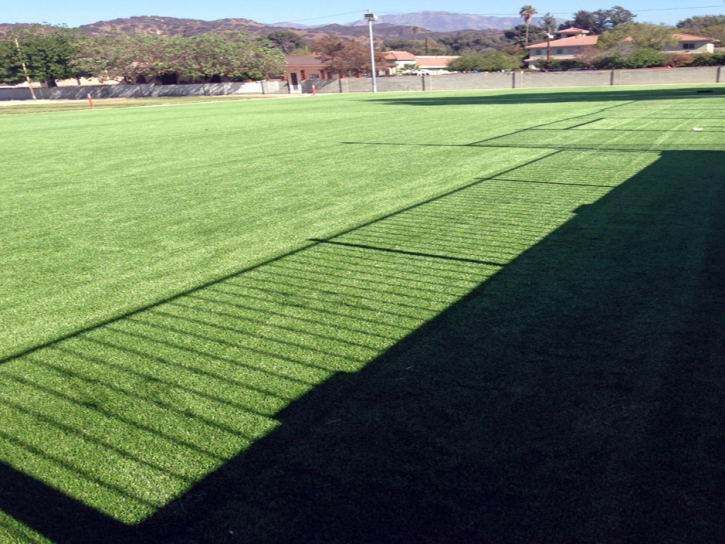 Grass Carpet Patagonia, Arizona Home And Garden