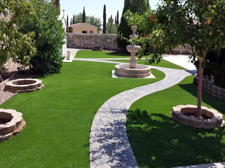 Grass Carpet Pimaco Two, Arizona Landscaping Business, Backyard