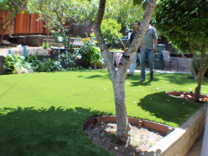 Grass Carpet Spring Valley, Arizona Landscape Photos, Backyards