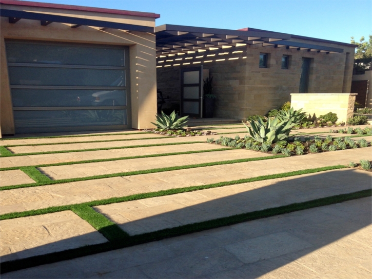 Grass Carpet Tubac, Arizona Rooftop, Front Yard Ideas