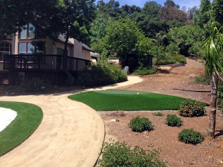 Grass Turf Kaka, Arizona Artificial Putting Greens, Front Yard Landscaping