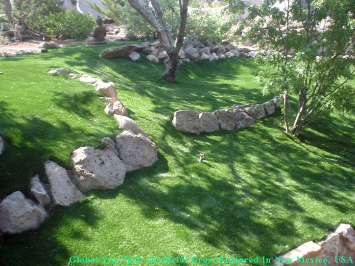 Green Lawn Tucson Estates, Arizona Roof Top, Commercial Landscape