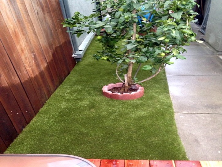 How To Install Artificial Grass Oxbow Estates, Arizona Artificial Grass For Dogs, Backyard Designs