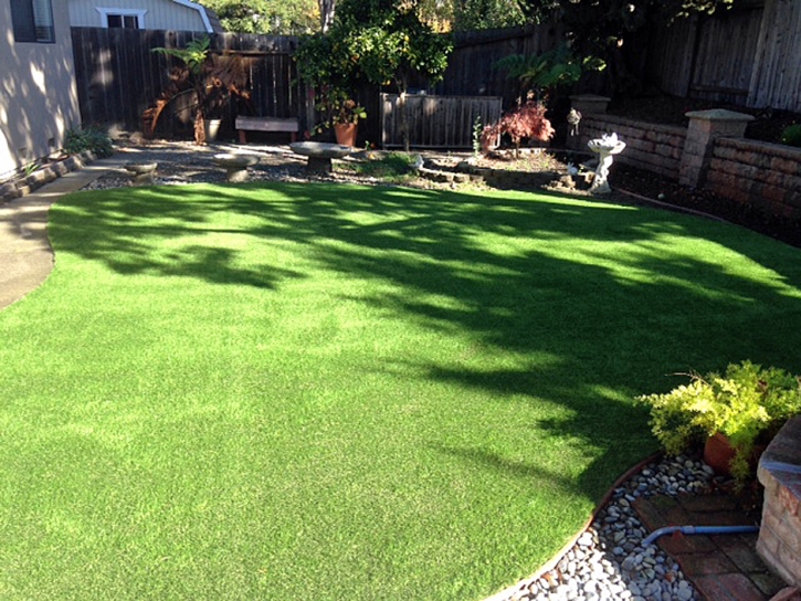 Installing Artificial Grass Black Canyon City, Arizona Pet Turf, Backyard Landscaping Ideas