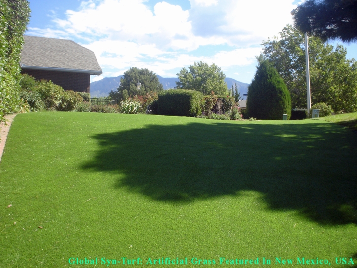 Lawn Services Drexel Heights, Arizona Artificial Turf For Dogs, Backyard Designs