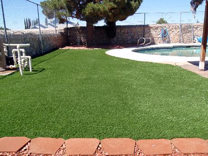 Lawn Services Vaiva Vo, Arizona Watch Dogs, Kids Swimming Pools